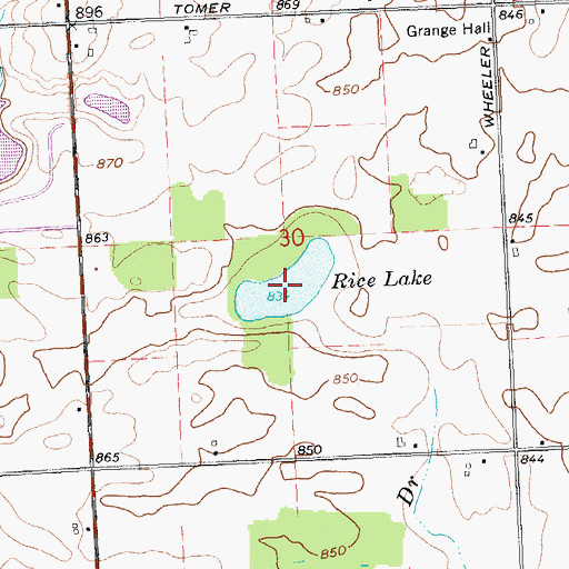 Topographic Map of Rice Lake, MI