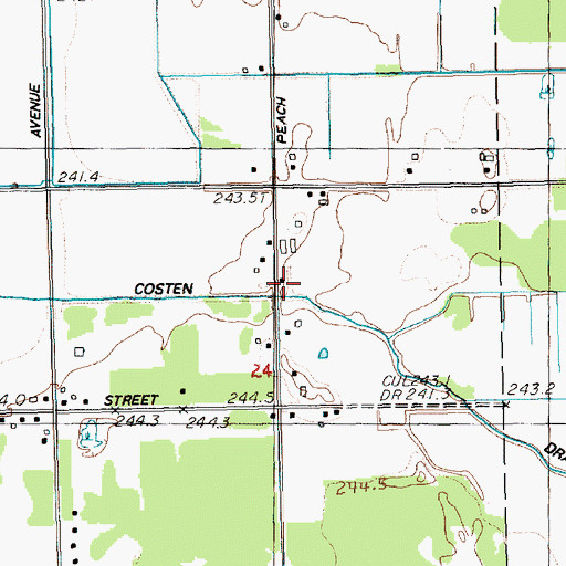 Topographic Map of Rice Lake Church, MI