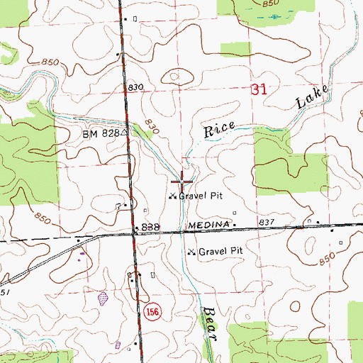 Topographic Map of Rice Lake Drain, MI