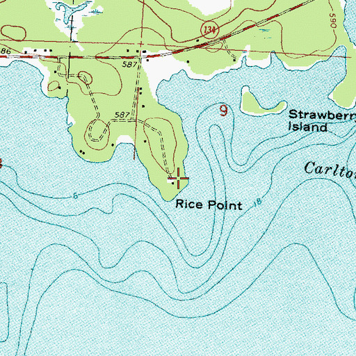 Topographic Map of Rice Point, MI