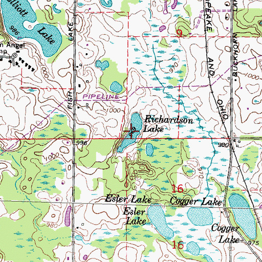 Topographic Map of Richardson Lake, MI