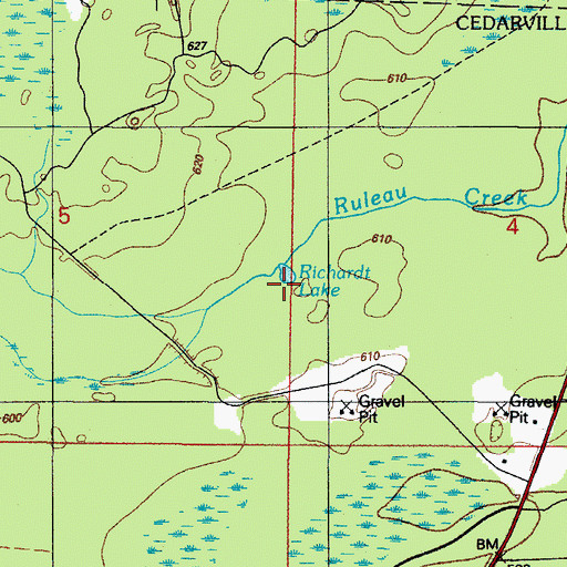 Topographic Map of Richardt Lake, MI