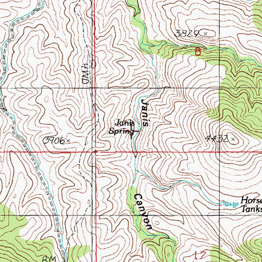 Topographic Map of Janis Spring, AZ