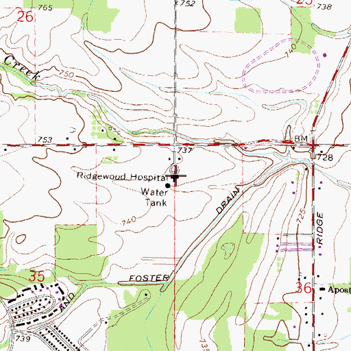Topographic Map of Ridgewood Hospital, MI