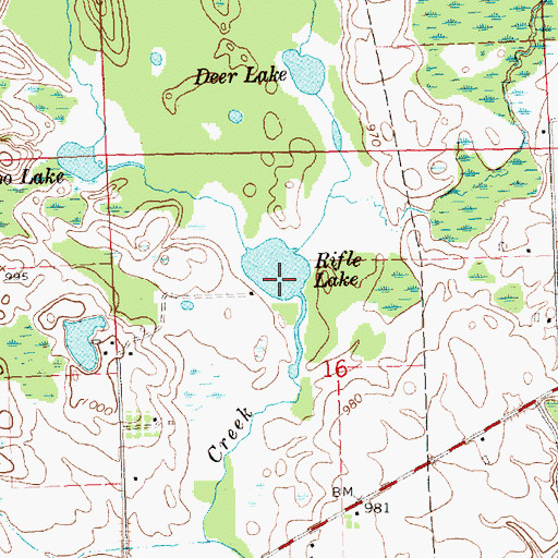 Topographic Map of Rifle Lake, MI