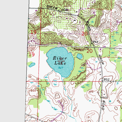 Topographic Map of Riker Lake, MI