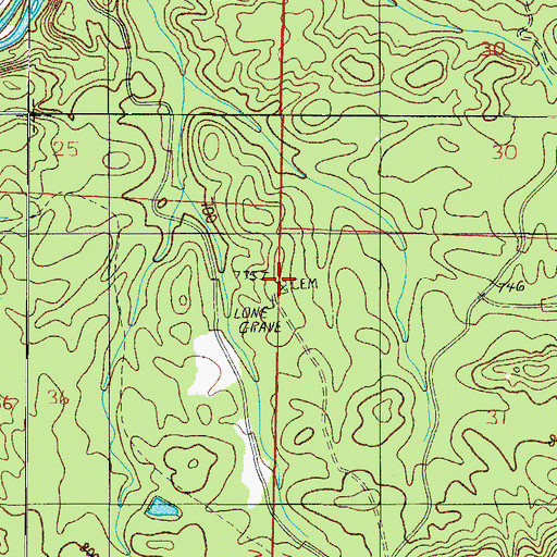 Topographic Map of Piney Cemetery, AR