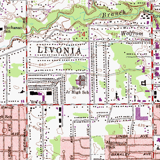 Topographic Map of Riley Junior High School, MI
