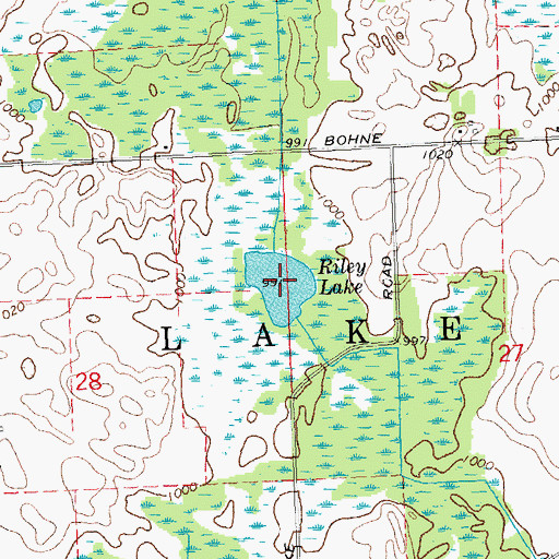 Topographic Map of Riley Lake, MI