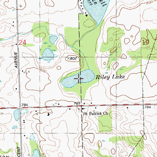 Topographic Map of Riley Lake, MI