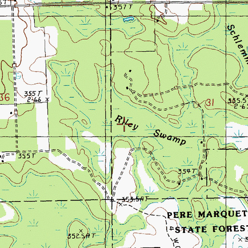 Topographic Map of Riley Swamp, MI