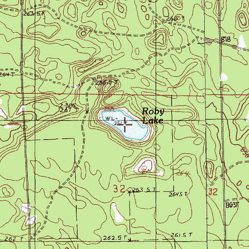 Topographic Map of Roby Lake, MI