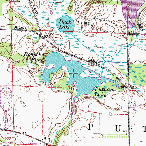 Topographic Map of Roepcke Pond, MI