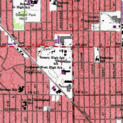 Topographic Map of Rosary High School, MI