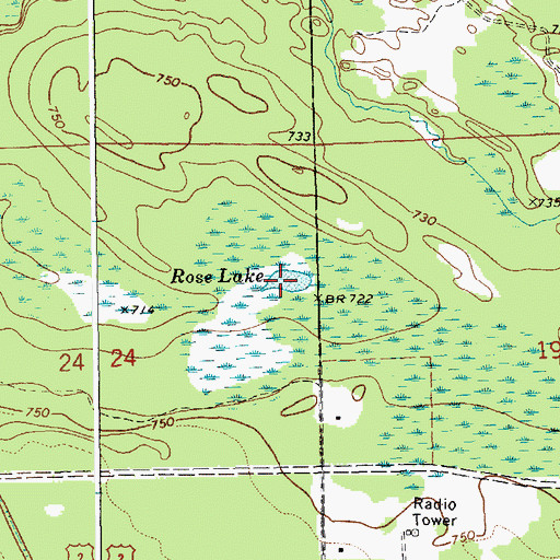 Topographic Map of Rose Lake, MI