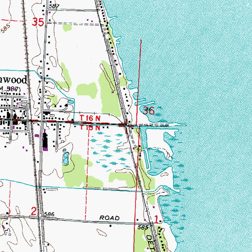 Topographic Map of Rosebush Drain, MI