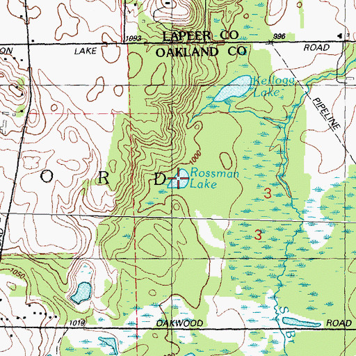 Topographic Map of Rossman Lake, MI