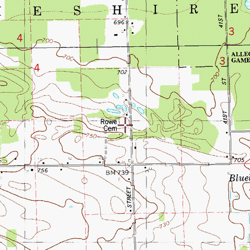 Topographic Map of Rowe Cemetery, MI