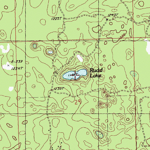 Topographic Map of Rudd Lake, MI