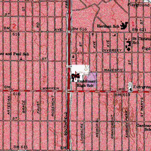 Topographic Map of Ruddiman High School, MI