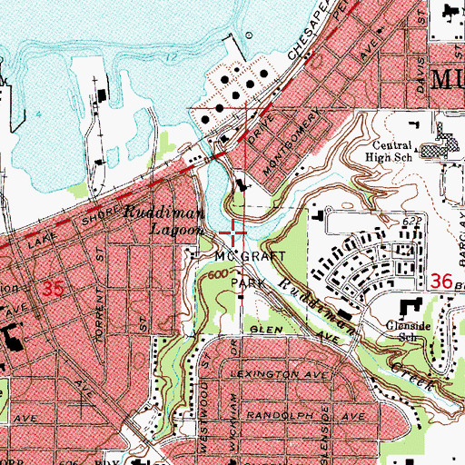 Topographic Map of Ruddiman Lagoon, MI