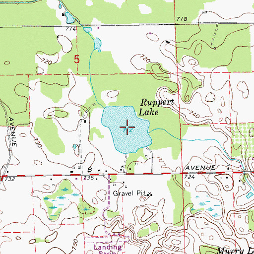 Topographic Map of Ruppert Lake, MI