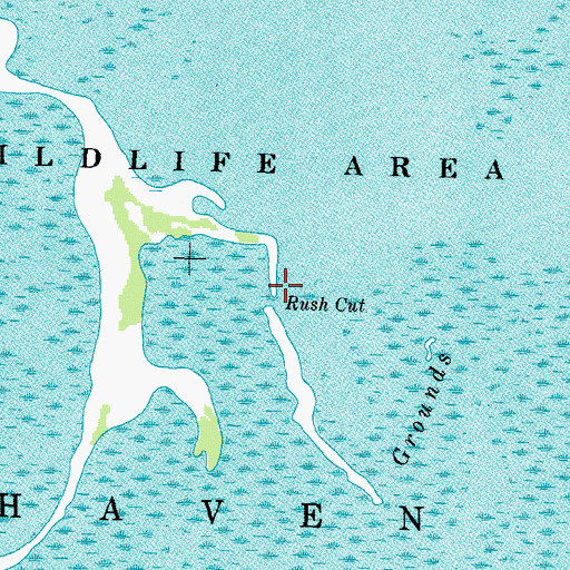 Topographic Map of Rush Cut, MI