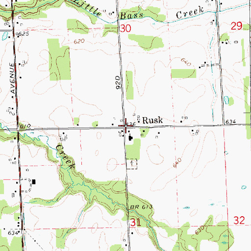 Topographic Map of Rusk, MI