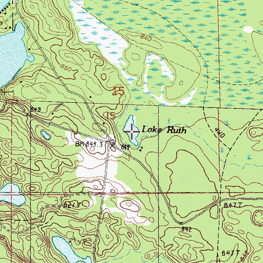 Topographic Map of Lake Ruth, MI