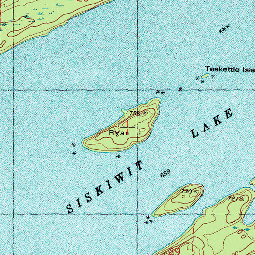 Topographic Map of Ryan Island, MI