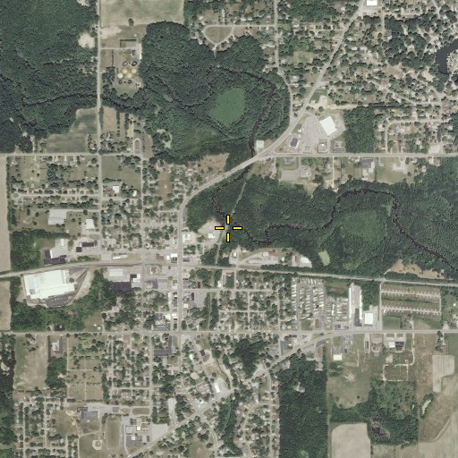 Aerial/Satellite Image of Ryno Drain, MI