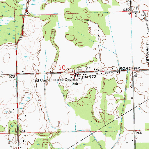 Topographic Map of Saints Cornelius and Cyprian School, MI