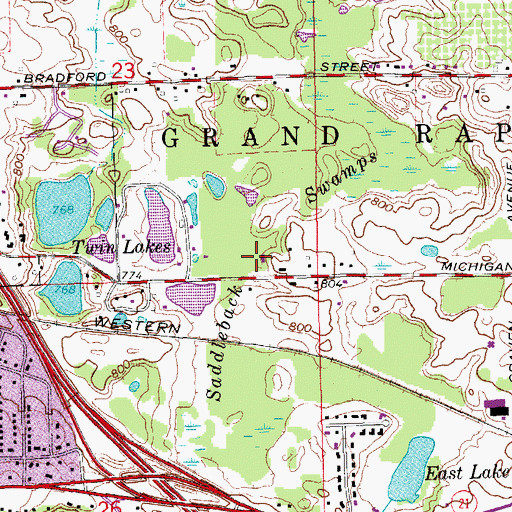 Topographic Map of Saddleback Swamps, MI