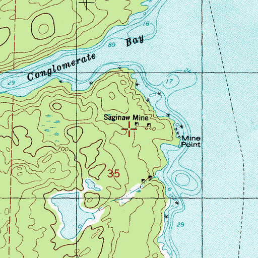 Topographic Map of Saginaw Mine, MI