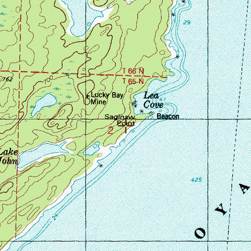 Topographic Map of Saginaw Point, MI