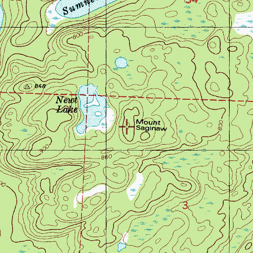 Topographic Map of Mount Saginaw, MI