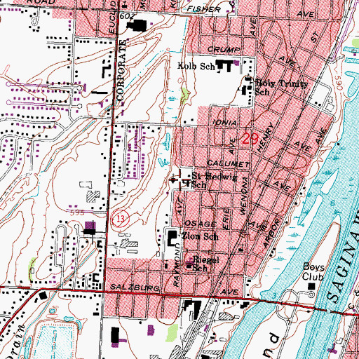 Topographic Map of Saint Hedwig School, MI
