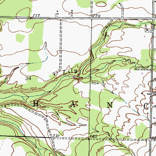 Topographic Map of Saint Johns Creek, MI