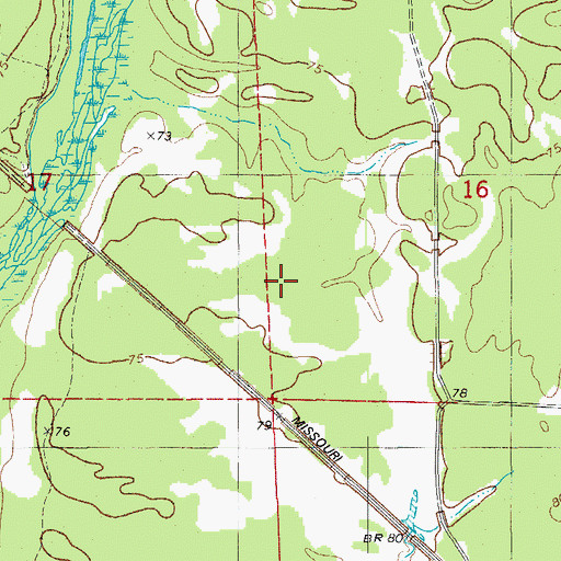 Topographic Map of Township of Marais Saline, AR
