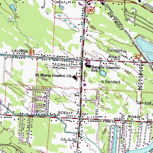 Topographic Map of Saint Maria Goretti Church, MI