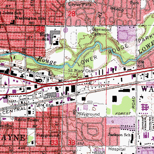 Topographic Map of Saint Mary Cemetery, MI