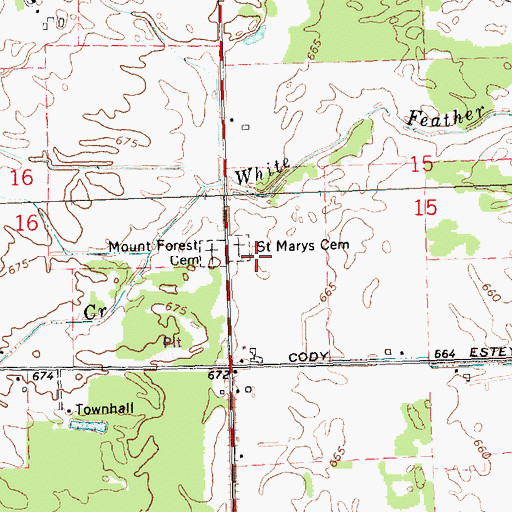 Topographic Map of Saint Marys Cemetery, MI