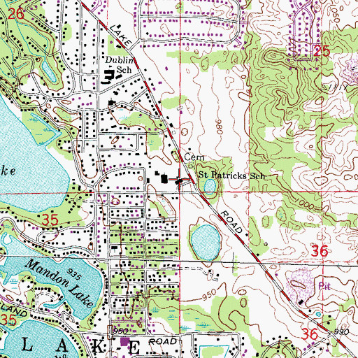 Topographic Map of Saint Patricks School, MI