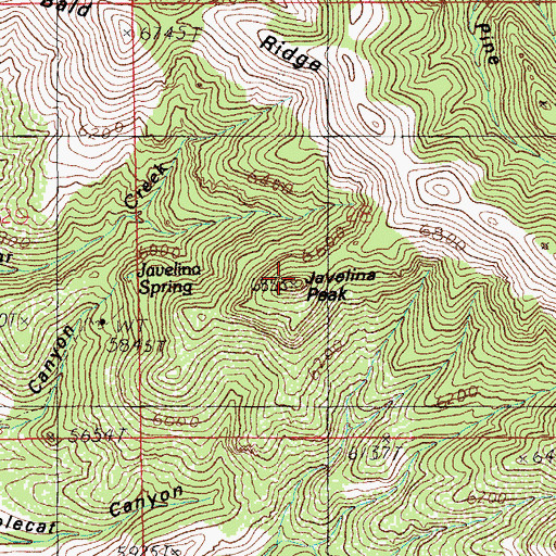Topographic Map of Javelina Peak, AZ