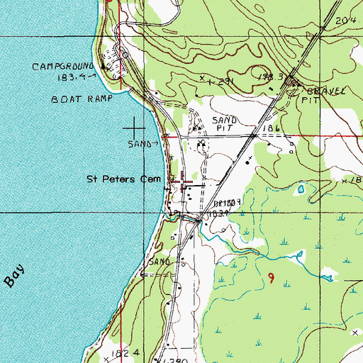 Topographic Map of Saint Peters Cemetery, MI