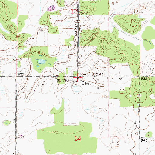 Topographic Map of Saint Thomas Church, MI