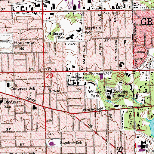 Topographic Map of Saint Thomas School, MI