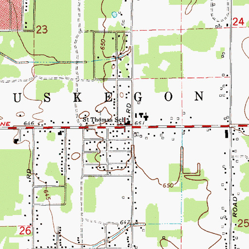 Topographic Map of Saint Thomas School, MI