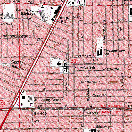 Topographic Map of Saint Veronica School, MI