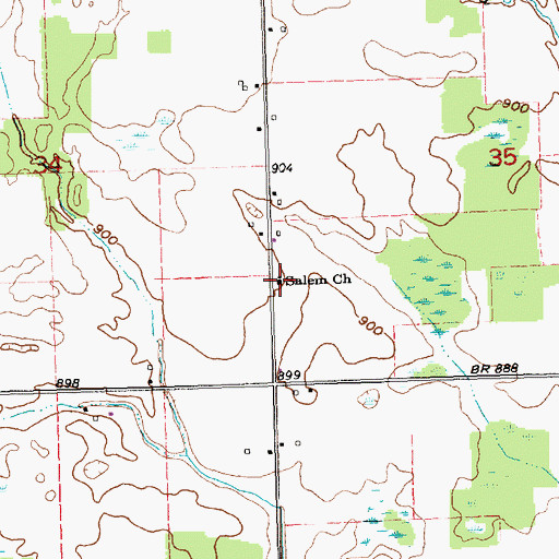 Topographic Map of Salem Church, MI